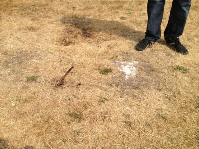 Fluglager des NNZC in Wilsche